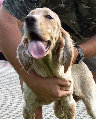 CLÍNICA VETERINARIA LA BARQUERA DE COMILLAS