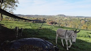 L'Empreinte d'un Passage Toiletteur canin à Domicile (chez vous) , Pet-sitter Professionnel