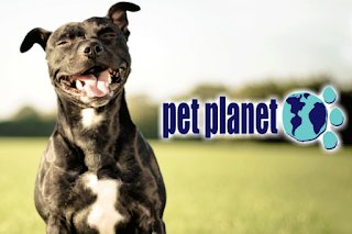 Pet Planet Mountainside Plaza Ahwatukee