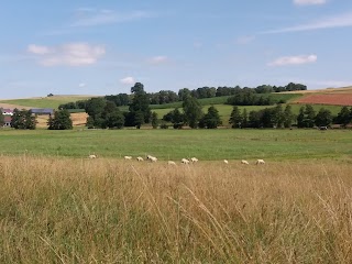 Ferienhof Neue Mühle