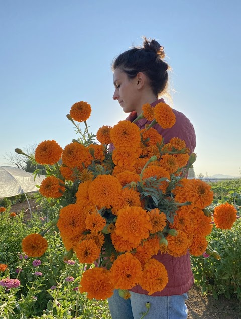 Calhoun Flower Farms