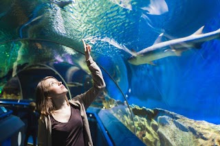 BIOPARC Acuario de Gijón