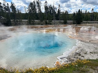 Celestine Pool