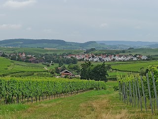 Gästehaus Zum Wolffenturm - Martin Wolff