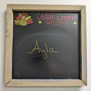 Cedar Creek Veterinary Clinic