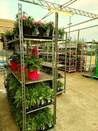 Walmart Garden Center