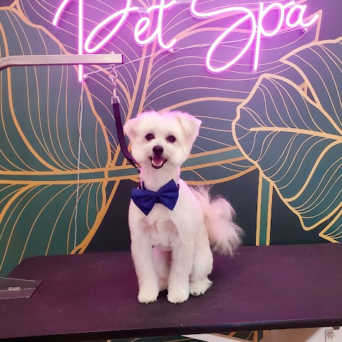 Shear Love Pet Spa