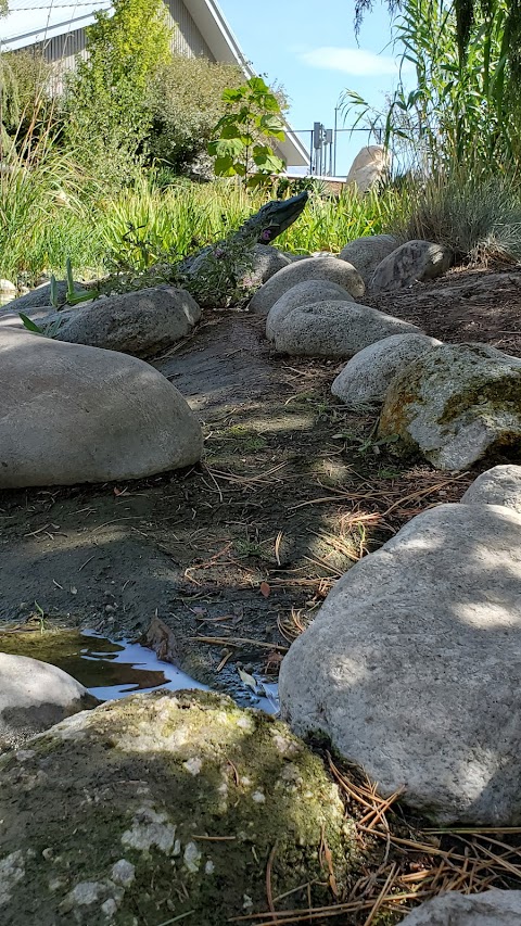 Children's Discovery Garden