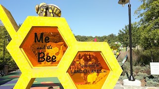 Me And The Bee Playground