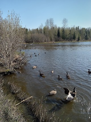 Westchester Lagoon Disc Golf Course