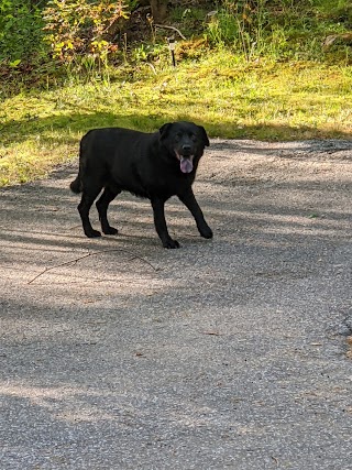 Habersham County Animal Care & Control