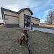 Photo of Offutt Veterinary Clinic - 403 Butler Boulevard, Offutt Air Force Base, NE 68113, USA