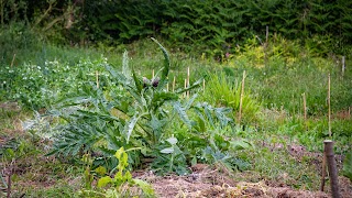 Le Jardin partagé de Kerampéré