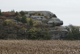 Norman Bird Sanctuary