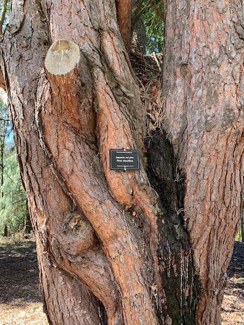 Columbia Children's Arboretum