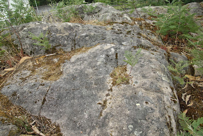 Petróglifos de San Ramón de Bealo