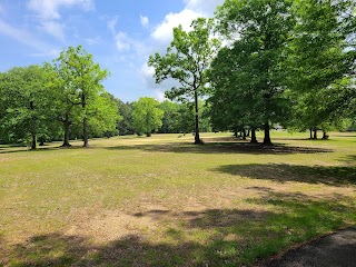 Mills Park Pool