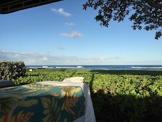 Hawaiian Rainforest Spa