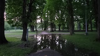 Alvin D. Brown Memorial Swimming Pool