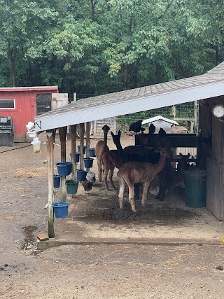 Snow Pond Farm