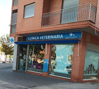 CLINICA VETERINARIA BRUJA DE LA VILLA