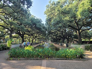 Reflection Pool