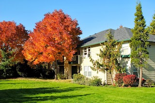 Commons at Dawson Creek Apartments