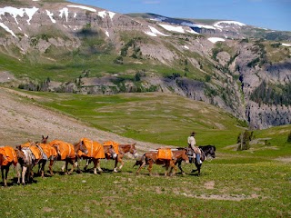 Yellowstone Outfitters