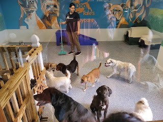 Dog Tales Daycare & Boarding