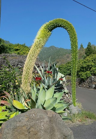 Jardinería KATYFLOR