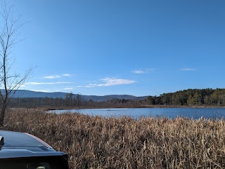 Karner Brook Wildlife Management Area