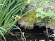 Photo of Association of Ex Pupils Ohio Soldiers' and Sailors' Orphans' Home / Ohio Veterans' Children's Home - 650 Elliott Drive, Xenia, OH 45385, USA
