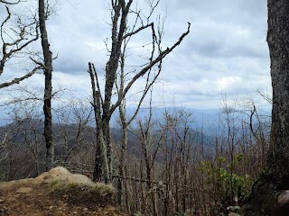 Wesser Bald Fire Tower