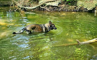 Clear Creek Park