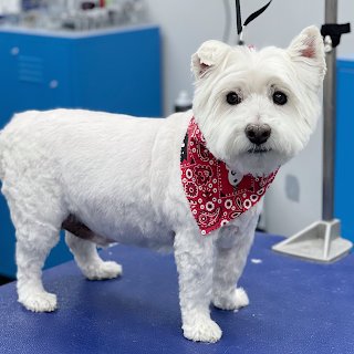 Peachy Pooches Dog Spa & Grooming