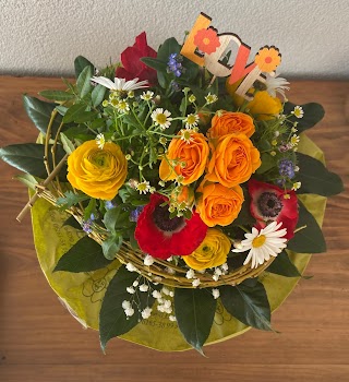 Blumenladen Fleissiges Lieschen