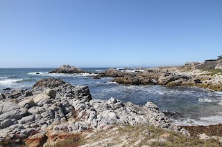 Asilomar State Beach