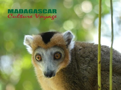 photo of Madagascar Culture Voyage