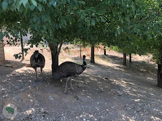 Zoo de Guadalajara