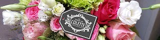 Le jardin de Colette