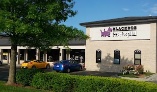 Blackbob Pet Hospital & Cat Clinic