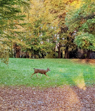 Columbia Children's Arboretum