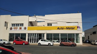 Auto Motor S L