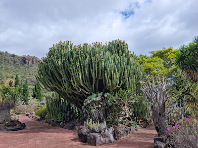 Jardín Botánico Viera y Clavijo