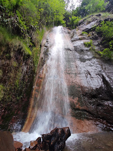 Fervenza do Rexío