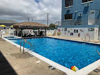 The Tiki Pool Bar