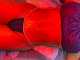 Photo of VA Postop & Beauty - 729 Thimble Shoals Boulevard, Newport News, VA 23606, USA
