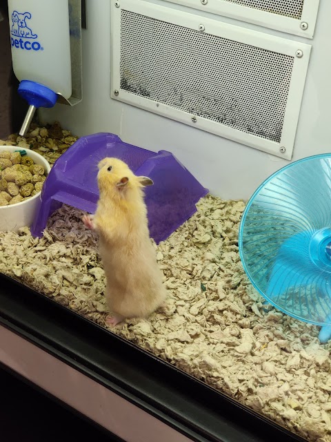 Photo of Petco - 266 Siemers Drive, Cape Girardeau, MO 63701, USA