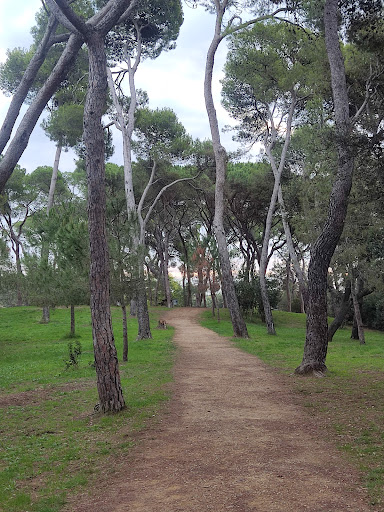 Parque de Can Oriol