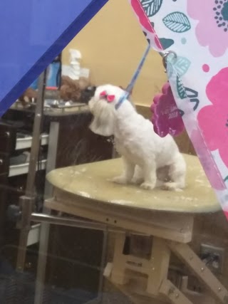 PetSmart